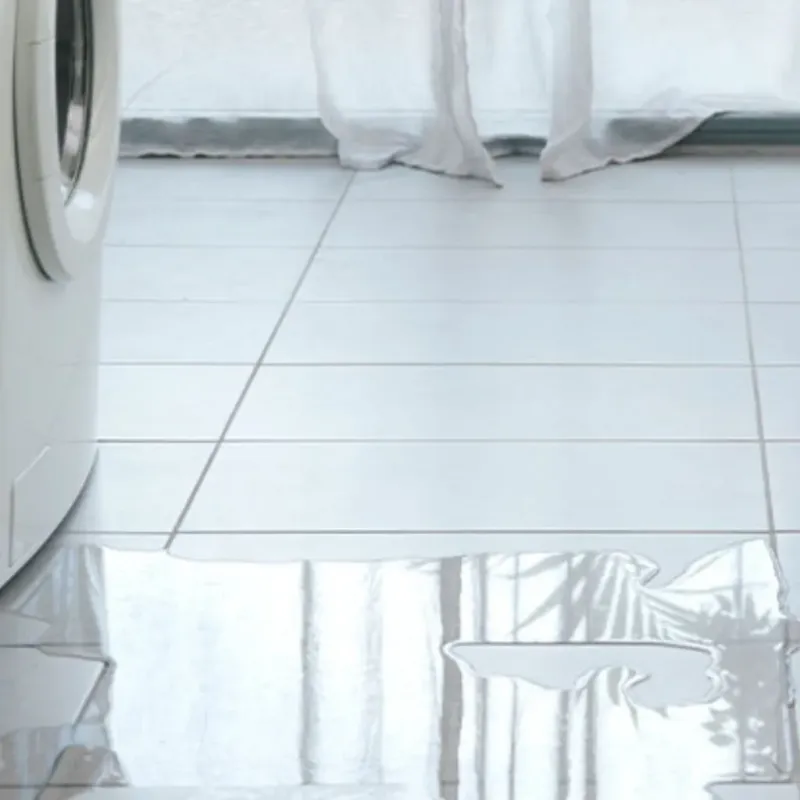 Appliance Leak Cleanup in Stanton, MI