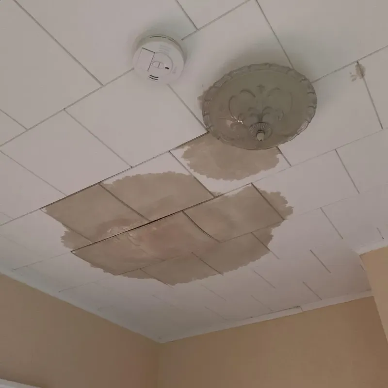 Ceiling Water Damage Repair in Stanton, MI