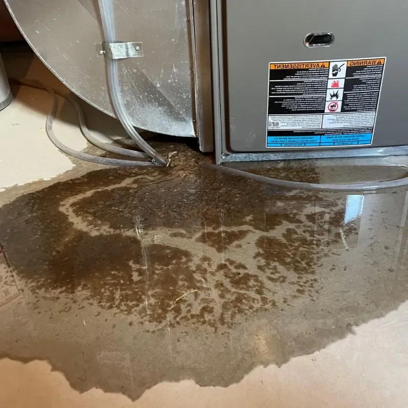 Pipe Burst and Leak Restoration in Stanton, MI