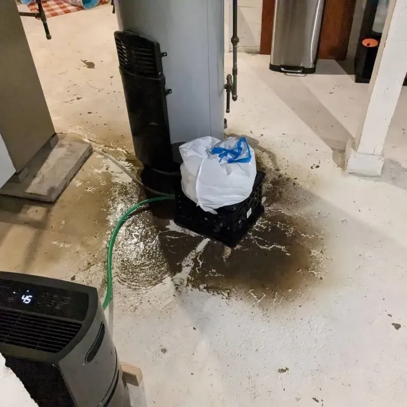 Sewage Backup Cleanup Service in Stanton, MI